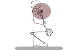 اسکات