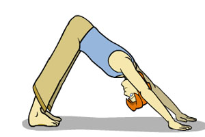 حرکات یوگا - حرکت سگ با صورت پایین ( Downward Facing Dog )