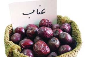 خواص درمانی عناب