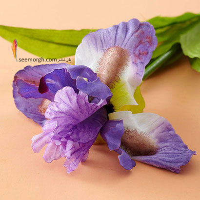 زبان گل ها,برای کسی که دوستش داریم چه گلی بخریم,معنای هر گل در رابطه,زنبق بنفش